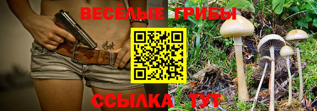 Псилоцибиновые грибы Psilocybine cubensis  Галлюциногенные грибы GOLDEN TEACHER  Удомля  Вход с VPN 